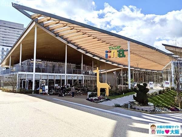 🌳 덴노지 잔디밭 (텐시바) 이미지 4